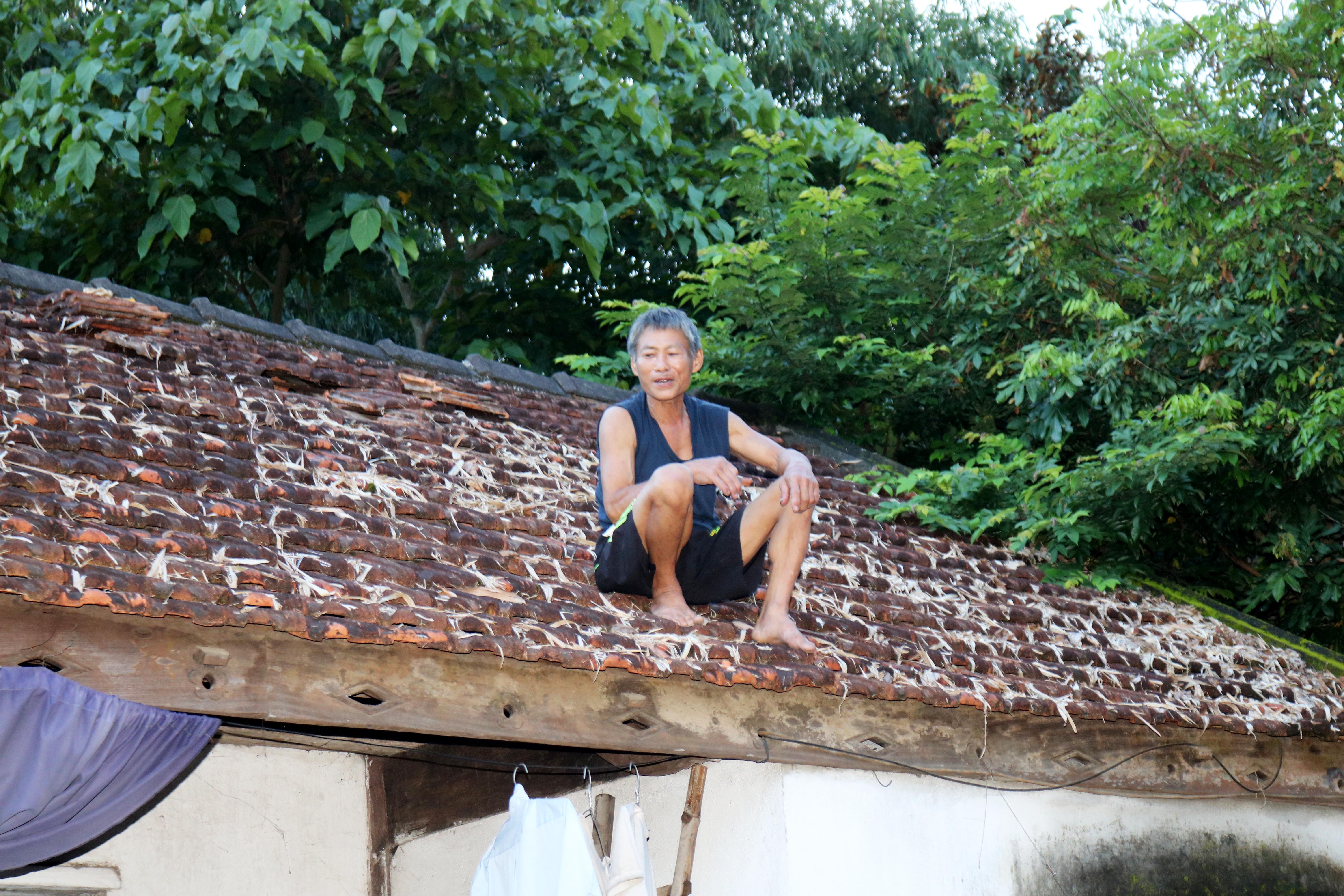 Lu lut o Nghe An anh 7