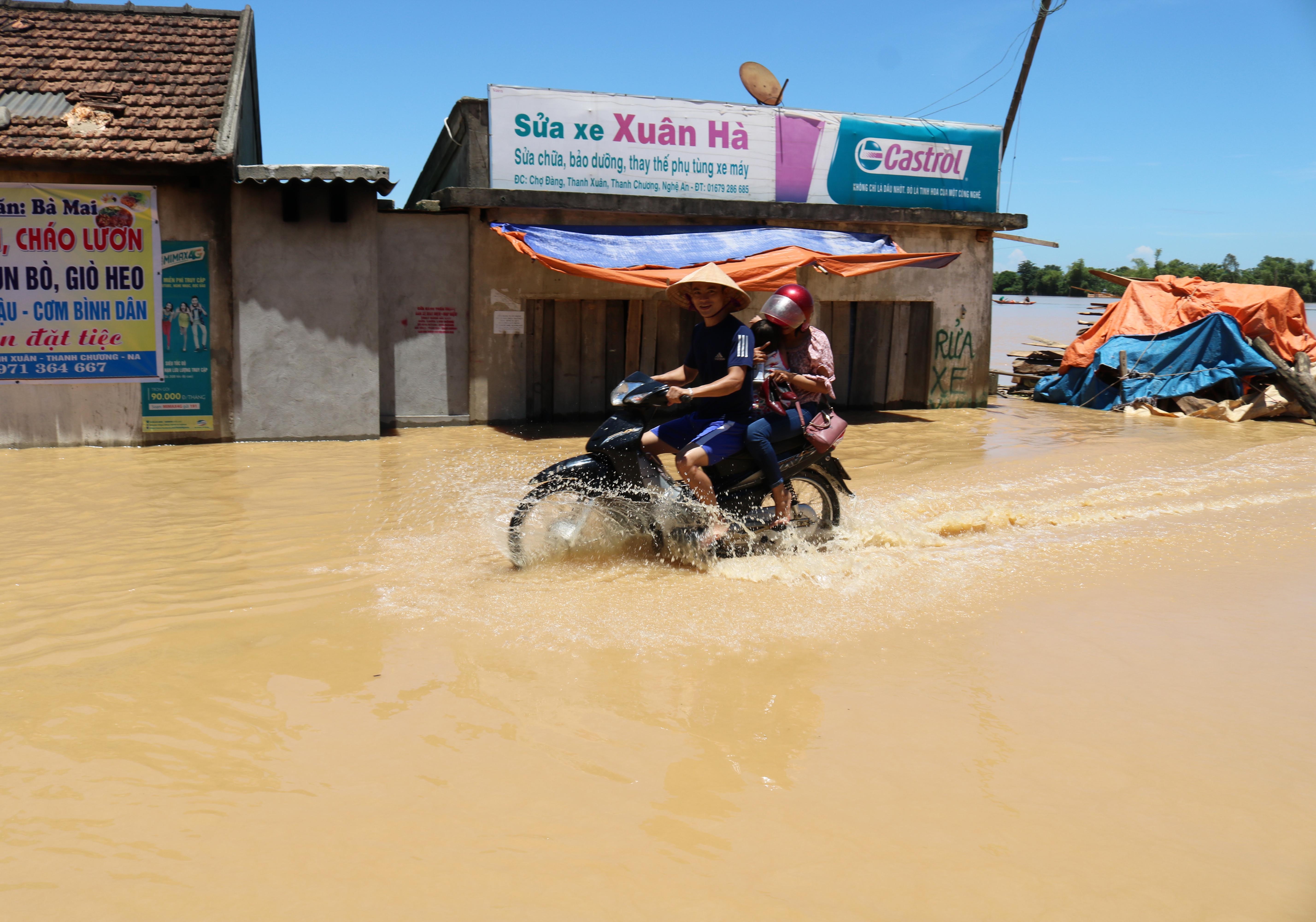 Lu lut o Nghe An anh 9