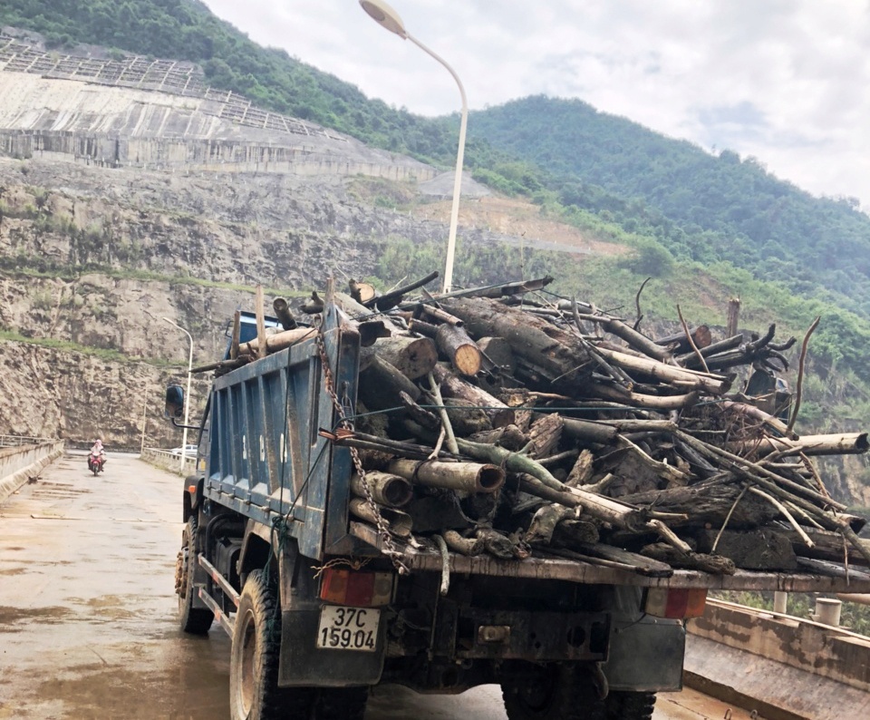 thủy điện Bản Vẽ ngập rác ảnh 2 thuy dien Ban Ve ngap rac anh 2