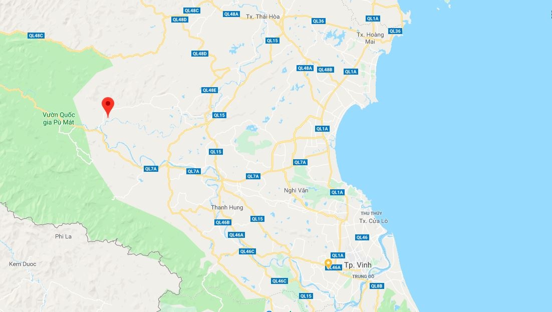 ong lam to tren cay gao anh 3