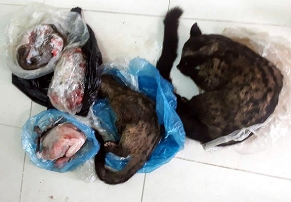 Chu tich Hoi Chu thap do xa rao ban dong vat hoang da tren Facebook hinh anh