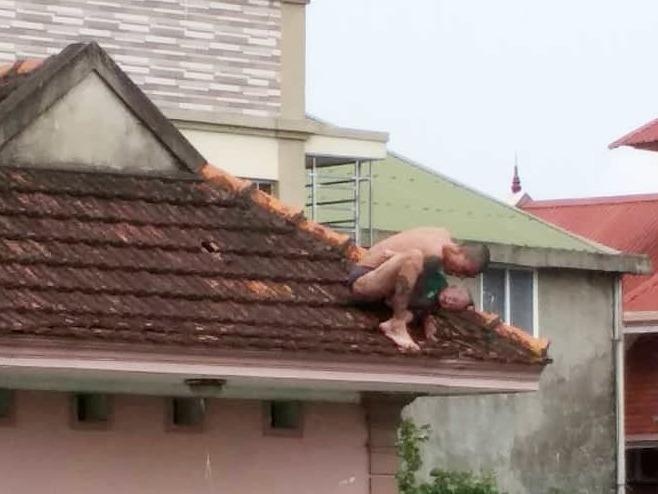 Khong che dua tre dua len noc nha hinh anh