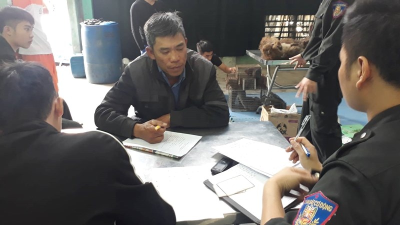 động vật hoang dã ảnh 2 dong vat hoang da anh 2