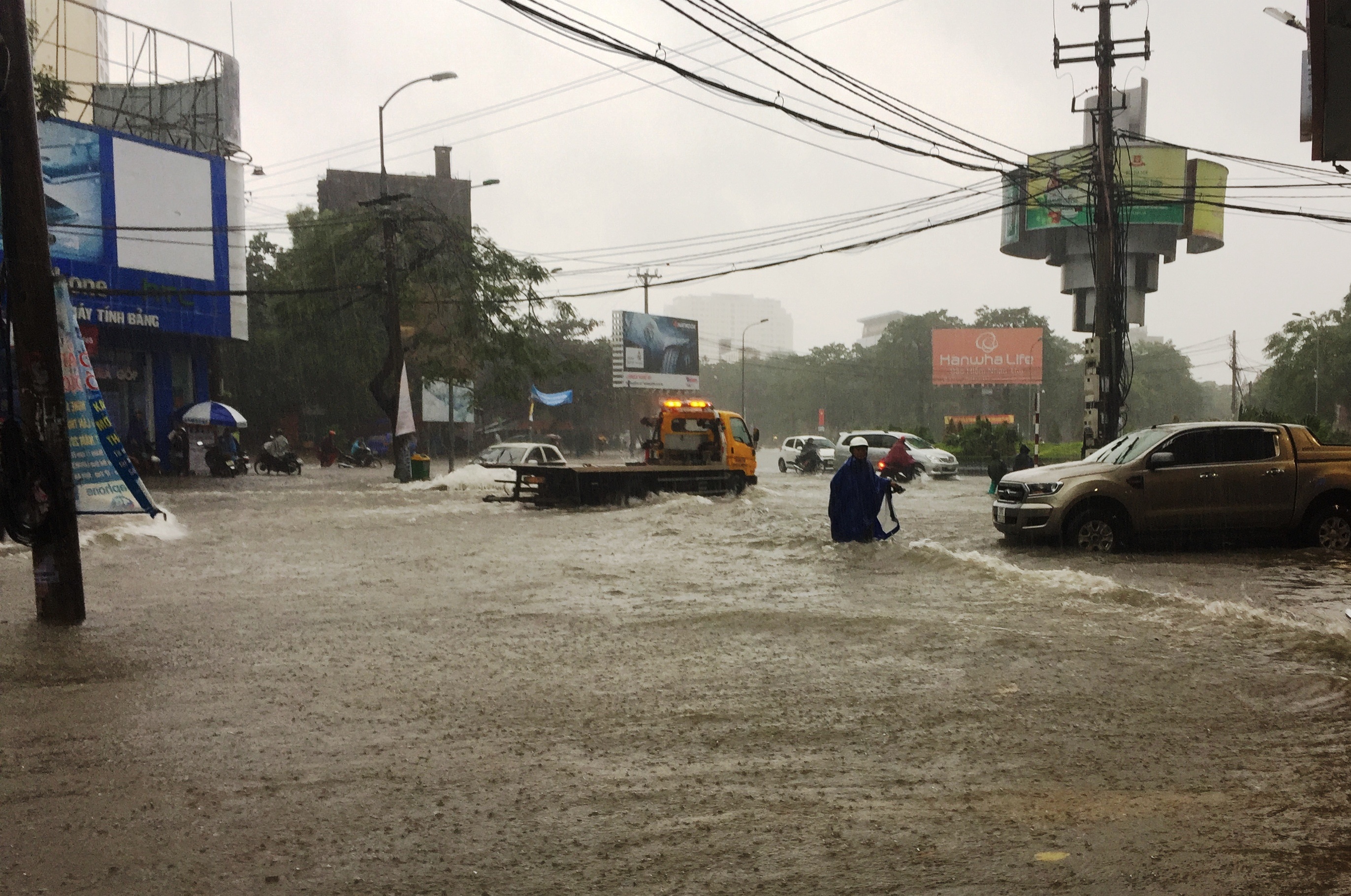 mua lon o TP Vinh anh 2