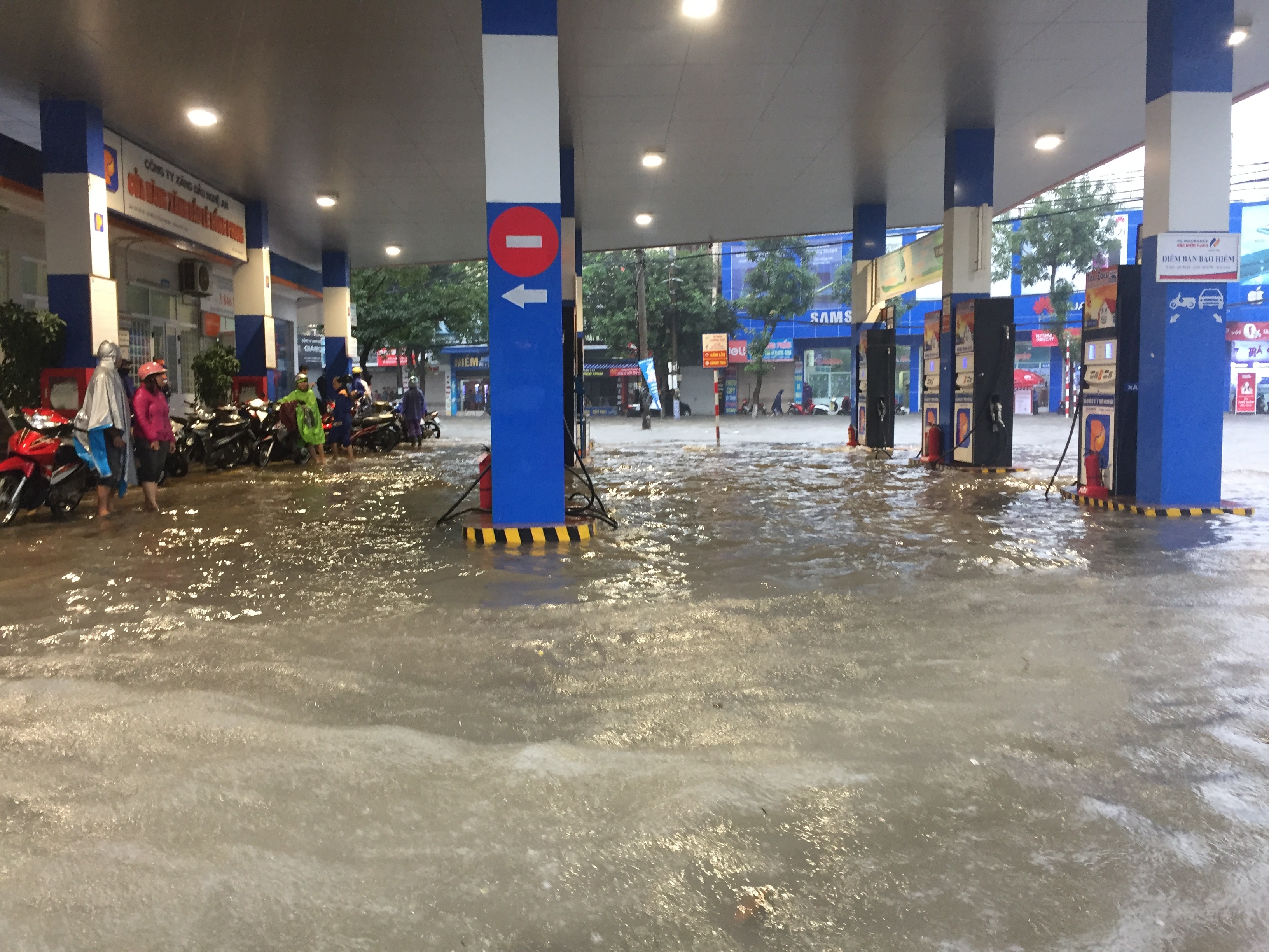 mua lon o TP Vinh anh 4