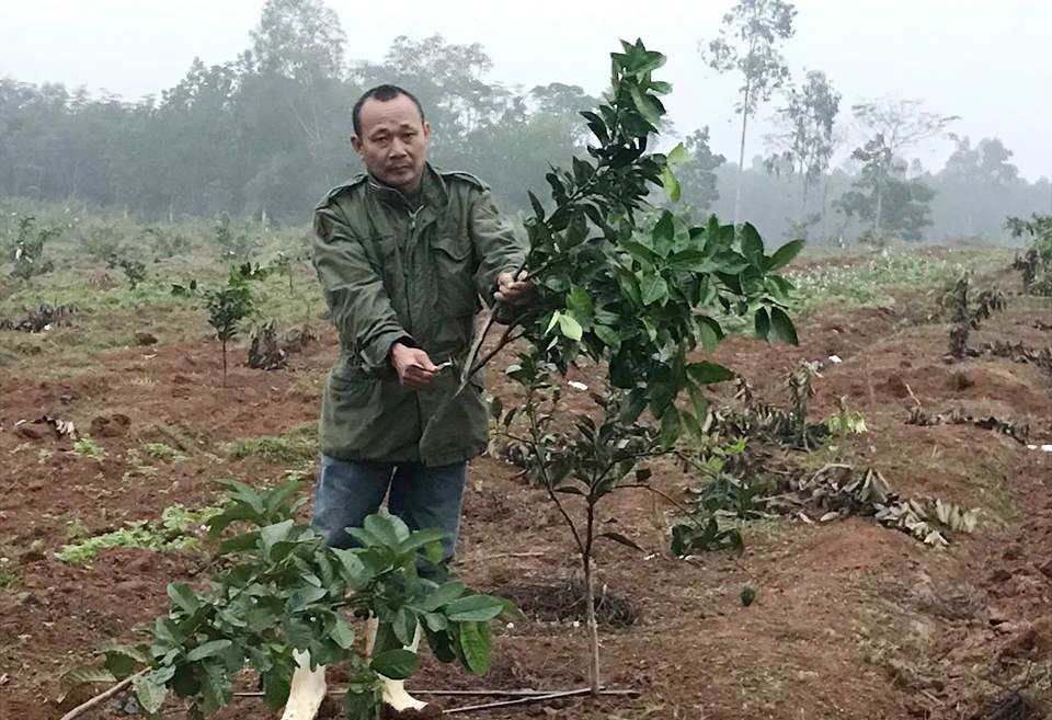 Trang trai cam bi dot pha luc dem toi hinh anh