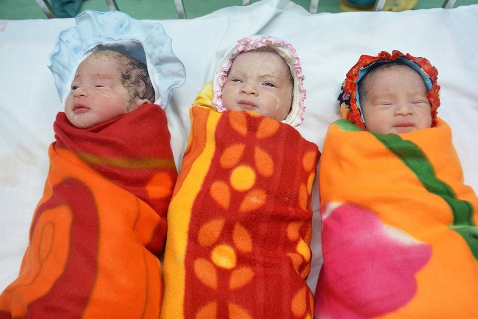 sinh ba trong ống nghiệm ảnh 2 sinh ba trong ong nghiem anh 2