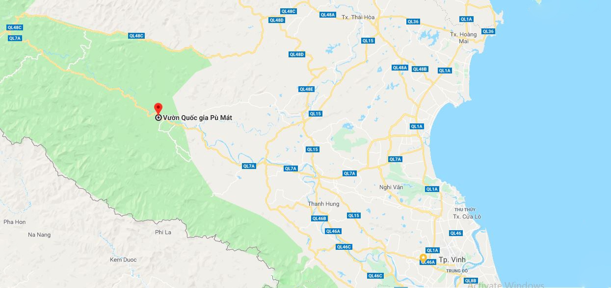 san ban dong vat hoang da trai phep anh 3