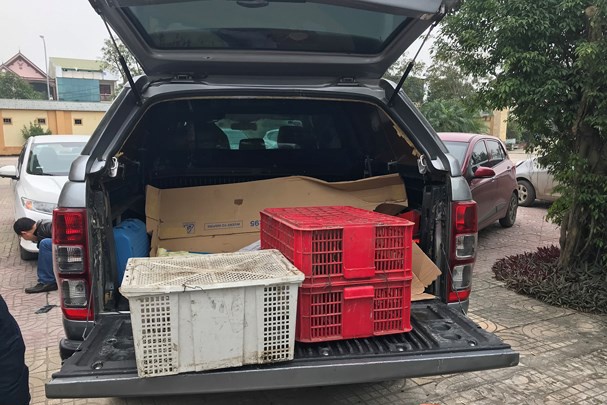 Nhom buon dong vat hoang da tong oto vao canh sat de tron thoat hinh anh