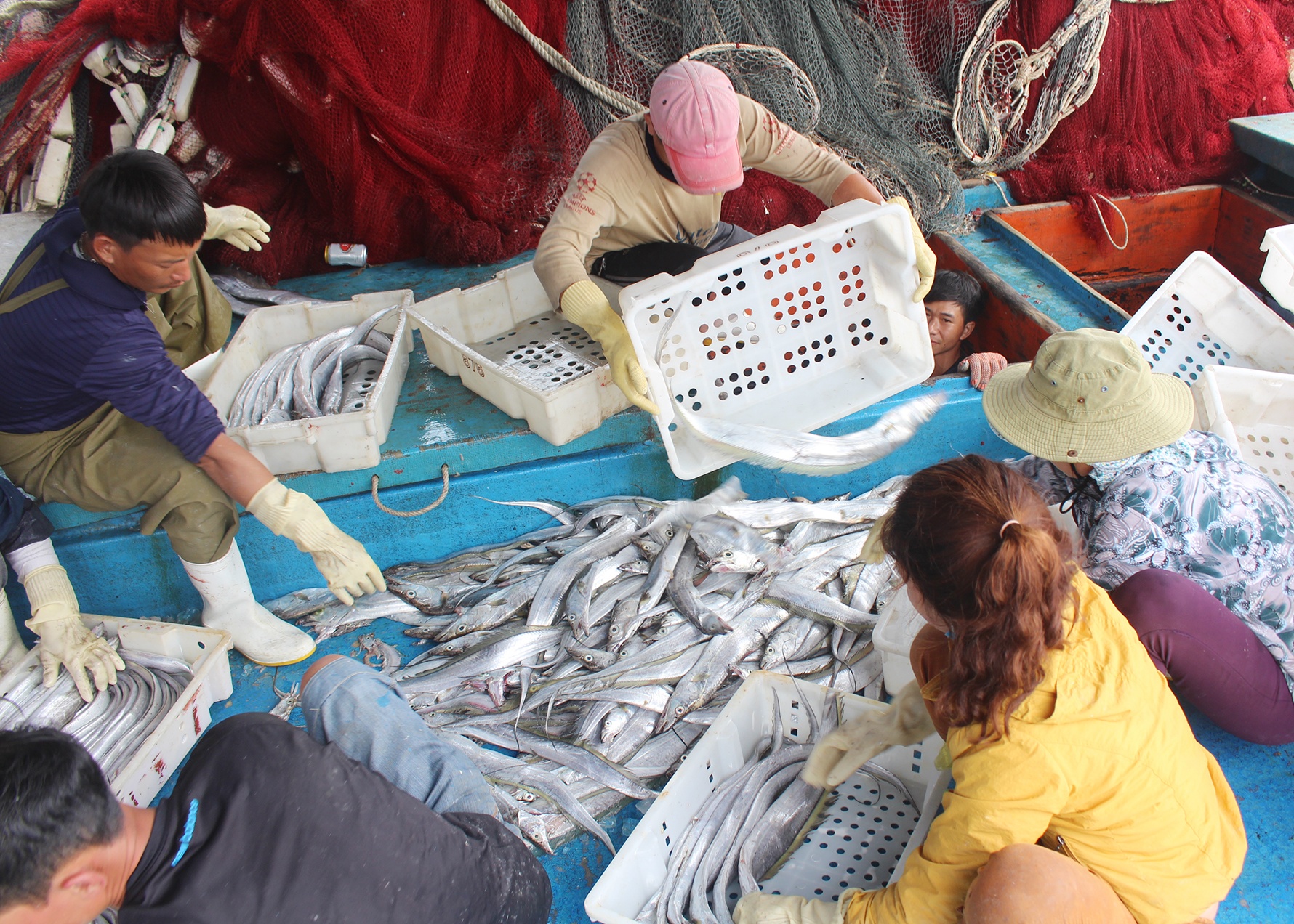 ngu dan trung me luoi ca ho anh 4