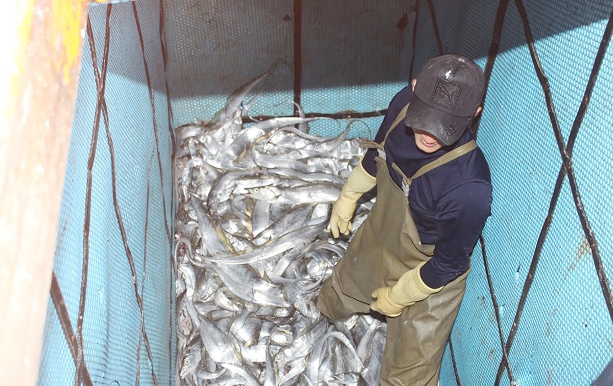 ngu dan trung me luoi ca ho anh 5