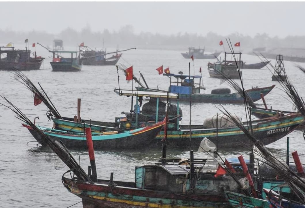 Cha con ngu dan mat tich tren bien khi cau muc hinh anh