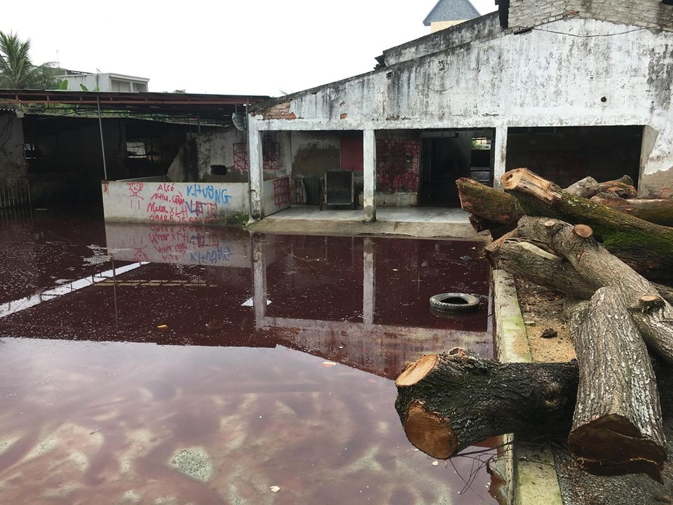 Dong cua lo giet mo gia suc lon nhat TP Vinh hinh anh