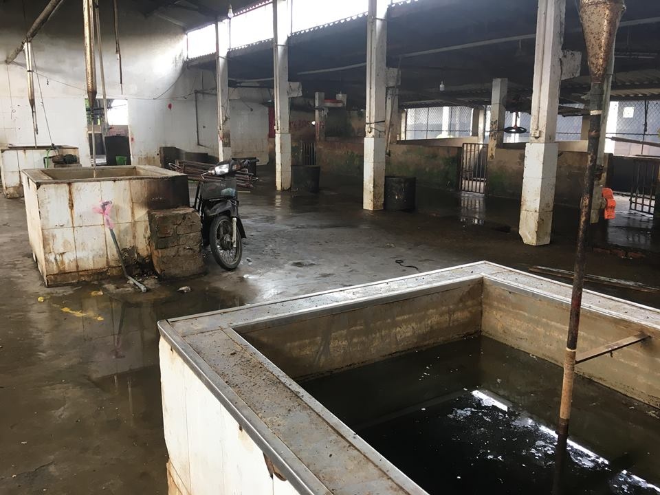 dong cua lo giet mo gia suc anh 2