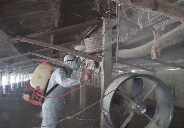 o dich ta lon chau Phi o Nghe An anh 2