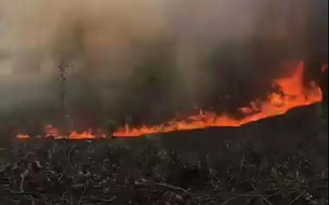 Nang nong do lua, chay rung lien tiep o Thua Thien Hue hinh anh