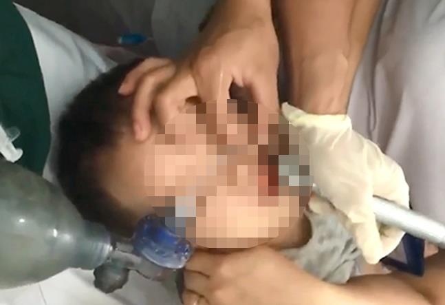 hóc thạch rau câu ảnh 1 hoc thach rau cau anh 1