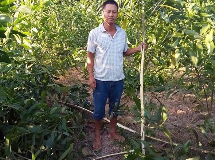 Ke xau chat hon 3.000 cay keo cua nguoi dan hinh anh