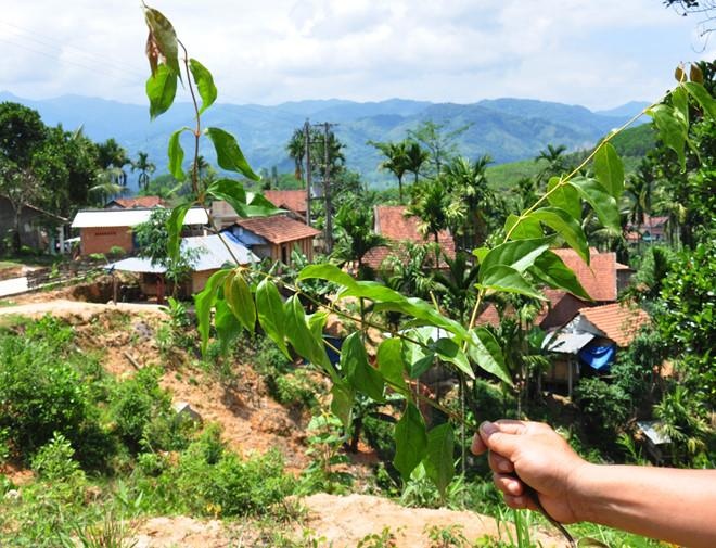 Doi nam nu tuoi teen vao rung an la ngon vi bi ngan ket hon hinh anh