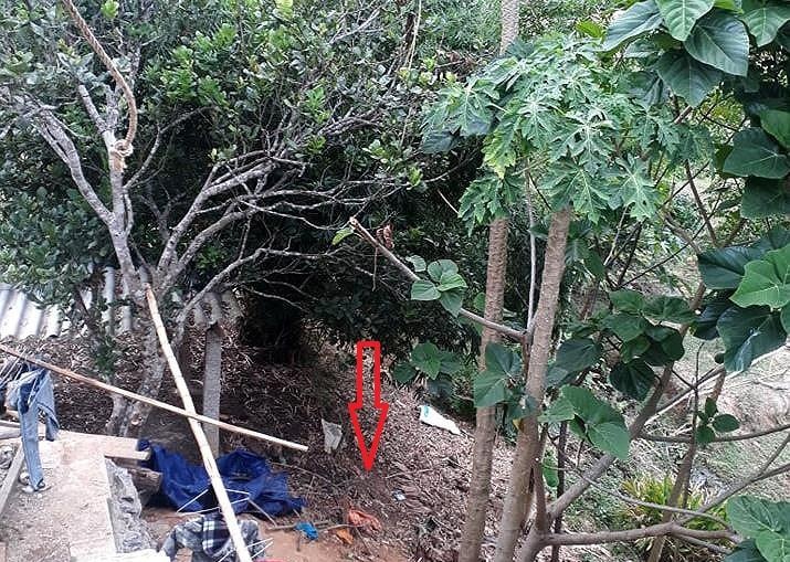 Dâm ô trẻ em ảnh 1 Dam o tre em anh 1