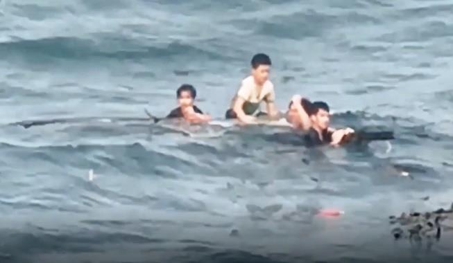 chim tau danh ca anh 2