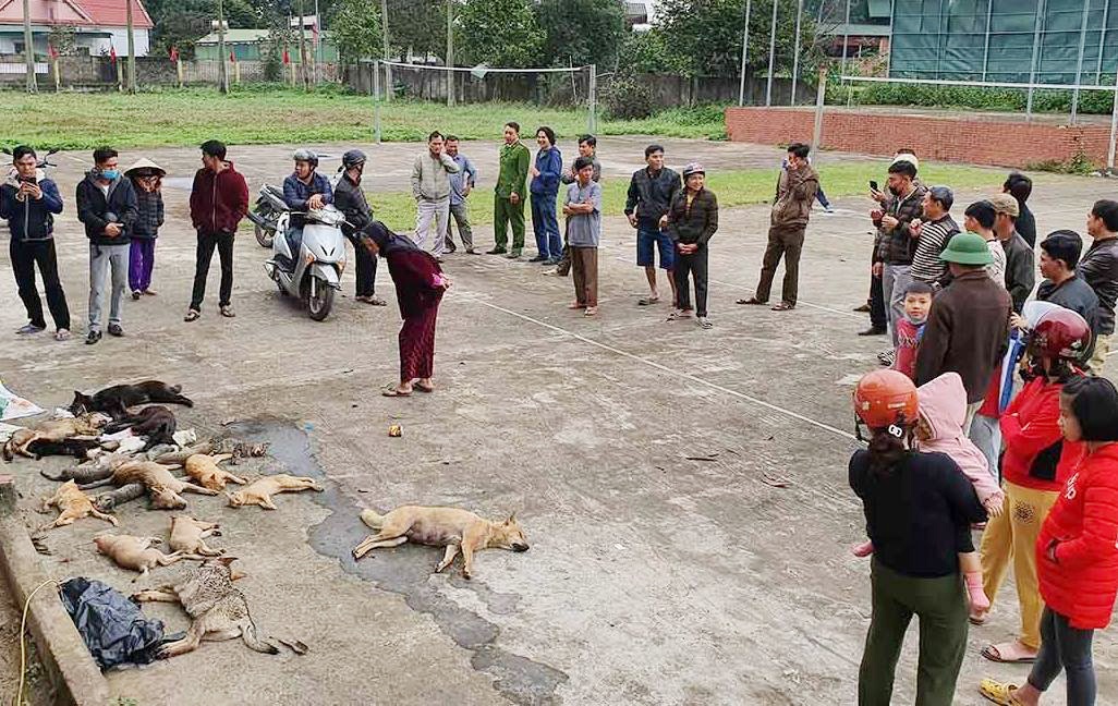 trom cap tai san anh 2