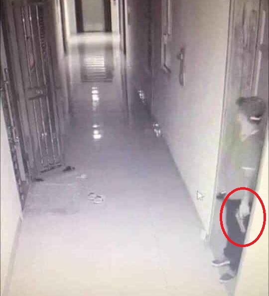 no lon tai chung cu Lung Lo anh 1