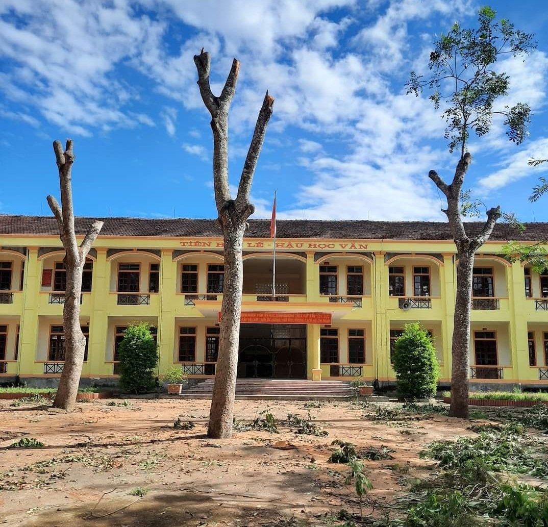 chat cay trong san truong anh 1