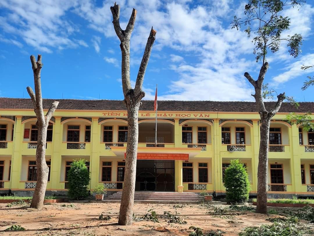 Hieu truong phai kiem diem sau vu cay bi cat trui la hinh anh