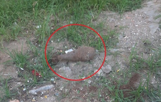 Phat hien dan coi khi trong cay hinh anh