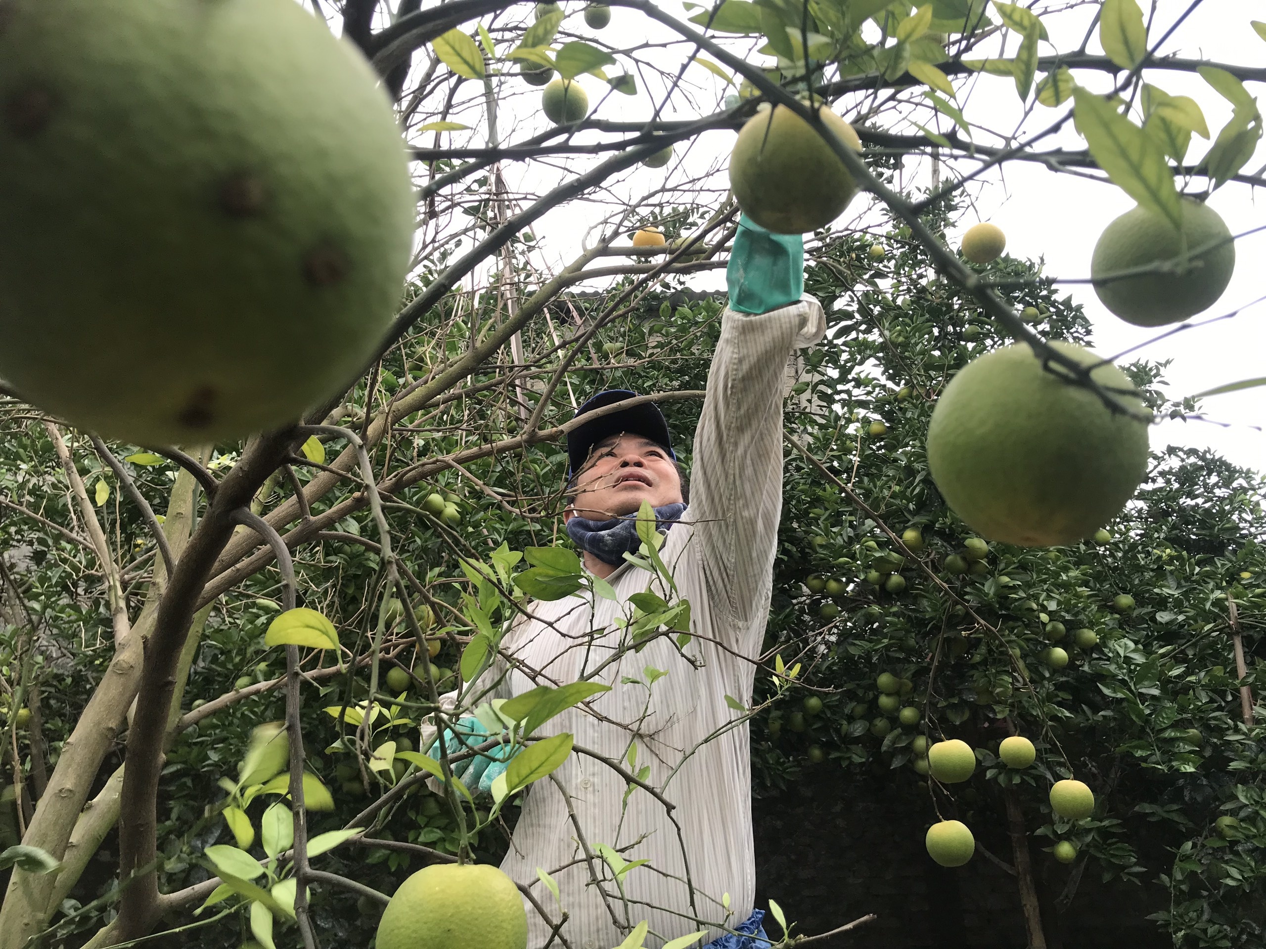 cam xa Doai rung sau lu anh 1