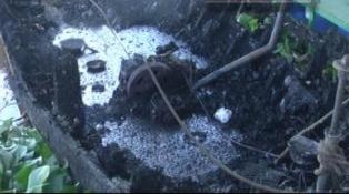 No thuyen tren song, vo chet, chong nguy kich hinh anh