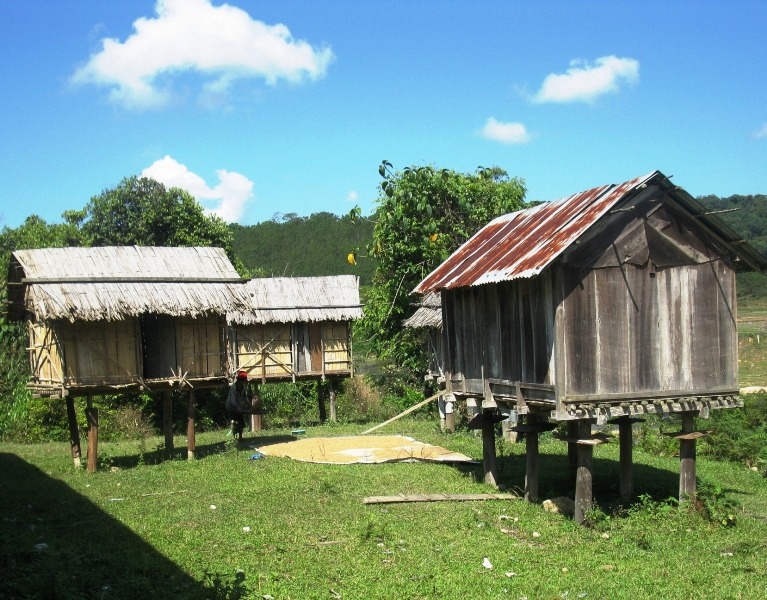 Cai chet bi an cua hai chau nho o trong ray hinh anh