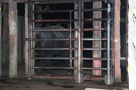 Giay phut voi quat chet quan tuong trong mat nhan chung hinh anh