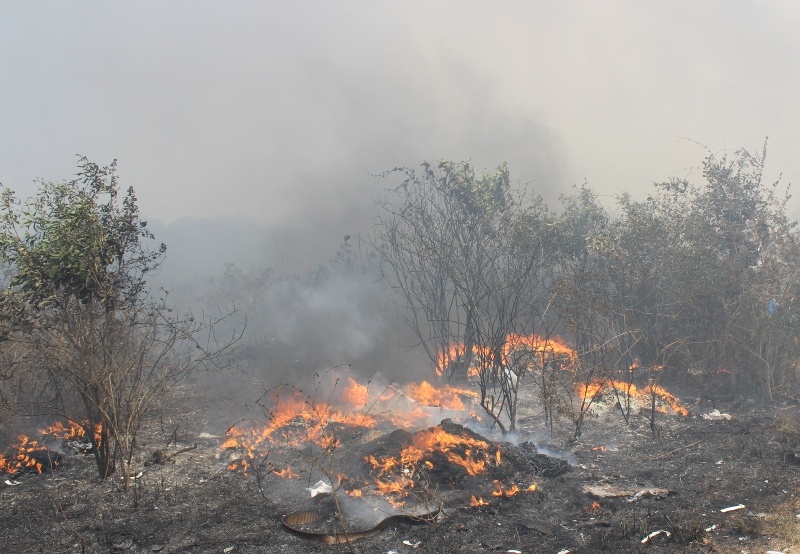 Chay bai rac, 5 can nha cung bi thieu rui hinh anh