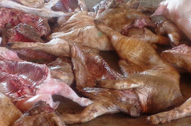 Quang thit lon hoi thoi sang hang xom de phi tang hinh anh