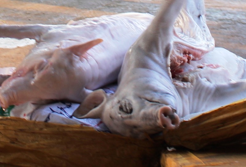 Bat oto khach cho hon 700kg thit lon boc mui hinh anh