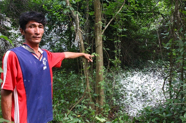 Thi the nguoi dan ong dang phan huy trong bui cay hinh anh