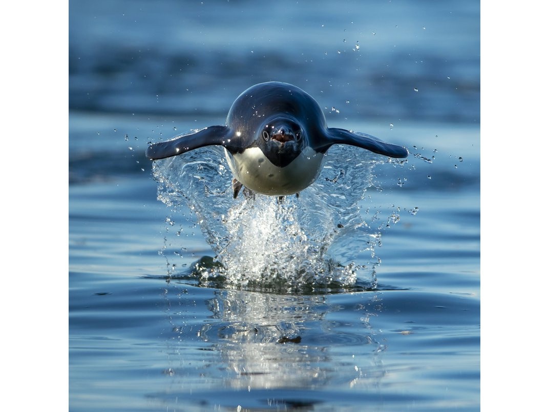 sach anh,  sach hay 2022,  sach anh dep,  sach tranh,  photobook,  nhiep anh anh 4