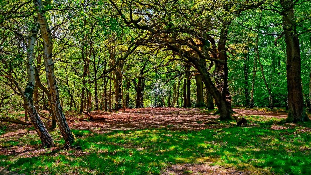 dia diem van hoc anh 6