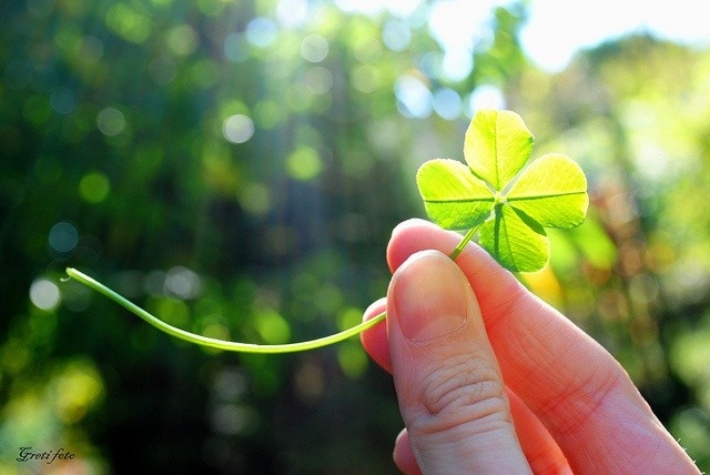 Tai sao ban cam thay minh may man hinh anh