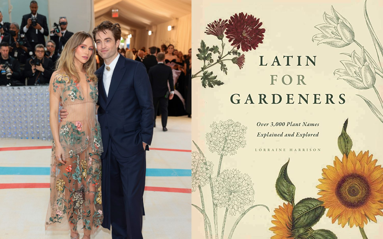 met gala 2023 anh 10