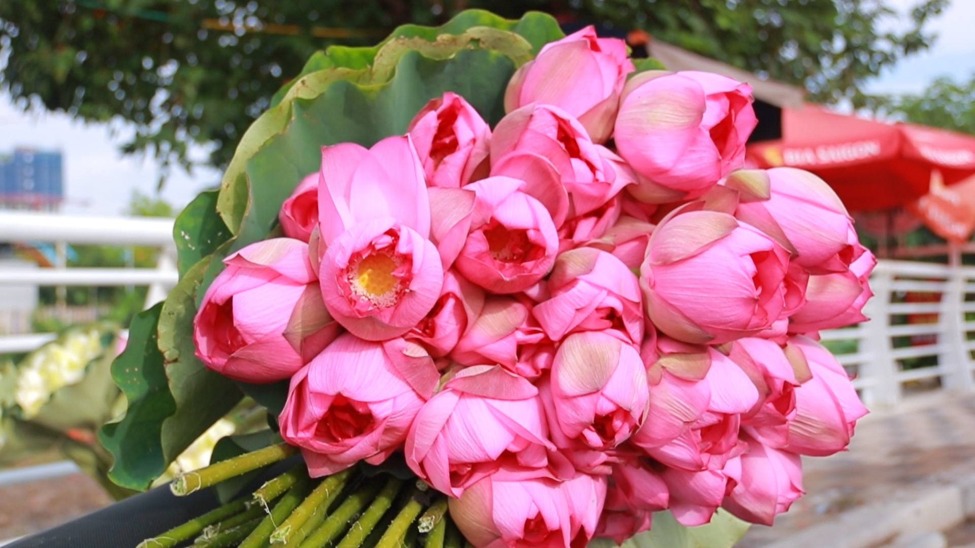 Nhung thuc qua giai nhiet mua he dang nho cua cac nha van hinh anh