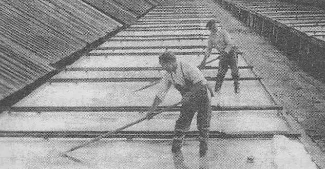 Mo vang cua ke luoi bieng hinh anh