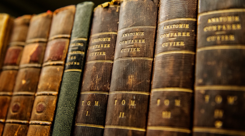 Cuoc doi thu hai cua nhung cuon sach hinh anh