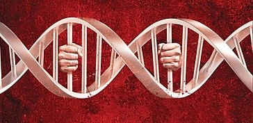 Nan nhan mot vu bat coc tim lai me sau 30 nam hinh anh