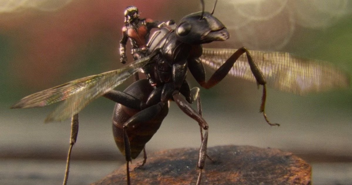 Con nguoi nghien cuu loai kien de viet thuat toan hinh anh