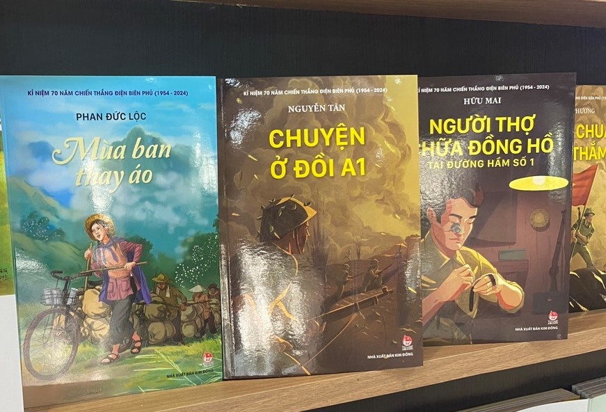 Nhung cuon sach ve Dien Bien Phu da duoc thay ao moi nhu nao hinh anh