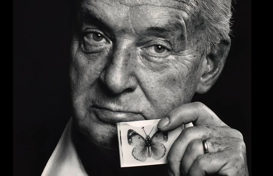 dan nhan nhay cam anh 4