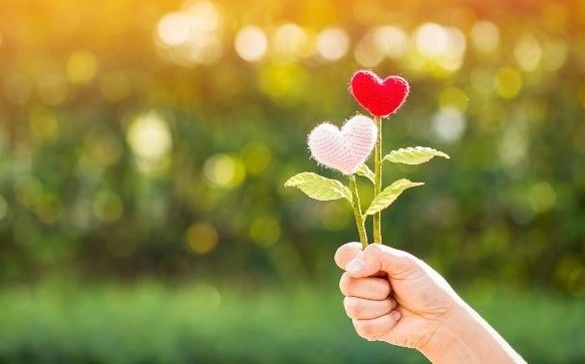 Sach ban viec lam sao de yeu thuong nhieu hon hinh anh